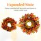 22" Berry Branches Fall Wreath with Colorful Leaves, Red Autumn Artificial Berries Wreath(Red, Yellow, Orange, Dark)13"D x 13"W x 3"H